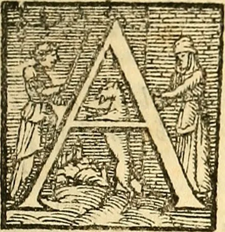An illustration from Ioannis Argenterii medici De somno et vigilia libri duo : in quibus continentur duae tractationes de calido nativo, et de spiritibus : omnia non solum medicis, sed etiam universis bonarum artium studiosis utilia, & jucunda, atque aliter explicata, quam hactenus fuerint ab aliis tradita, 1556, leaf 348