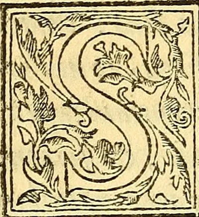 An illustration from Ioannis Argenterii medici De somno et vigilia libri duo : in quibus continentur duae tractationes de calido nativo, et de spiritibus : omnia non solum medicis, sed etiam universis bonarum artium studiosis utilia, & jucunda, atque aliter explicata, quam hactenus fuerint ab aliis tradita, 1556, leaf 47