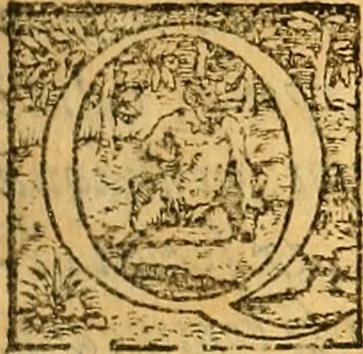 An illustration from Ioannis Argenterii medici De somno et vigilia libri duo : in quibus continentur duae tractationes de calido nativo, et de spiritibus : omnia non solum medicis, sed etiam universis bonarum artium studiosis utilia, & jucunda, atque aliter explicata, quam hactenus fuerint ab aliis tradita, 1556, leaf 60