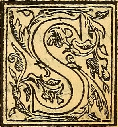 An illustration from Ioannis Argenterii medici De somno et vigilia libri duo : in quibus continentur duae tractationes de calido nativo, et de spiritibus : omnia non solum medicis, sed etiam universis bonarum artium studiosis utilia, & jucunda, atque aliter explicata, quam hactenus fuerint ab aliis tradita, 1556, leaf 73