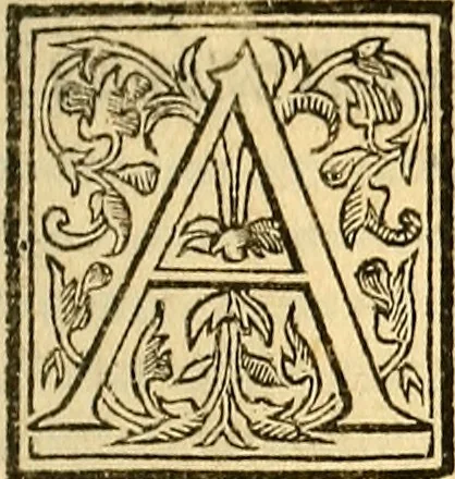 An illustration from Ioannis Argenterii medici De somno et vigilia libri duo : in quibus continentur duae tractationes de calido nativo, et de spiritibus : omnia non solum medicis, sed etiam universis bonarum artium studiosis utilia, & jucunda, atque aliter explicata, quam hactenus fuerint ab aliis tradita, 1556, leaf 8