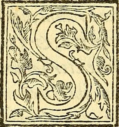 An illustration from Ioannis Argenterii medici De somno et vigilia libri duo : in quibus continentur duae tractationes de calido nativo, et de spiritibus : omnia non solum medicis, sed etiam universis bonarum artium studiosis utilia, & jucunda, atque aliter explicata, quam hactenus fuerint ab aliis tradita, 1556, leaf 97