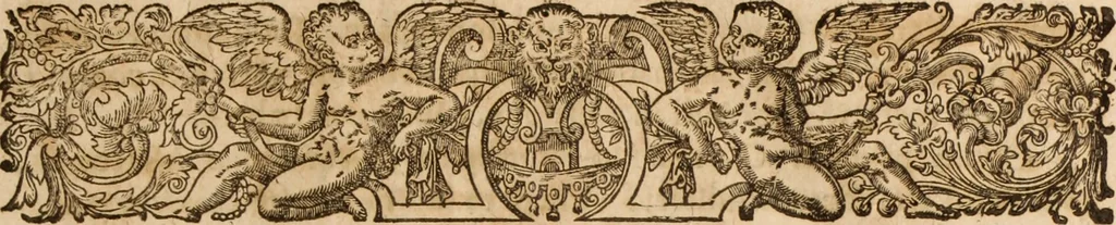 An illustration from Ioannis Cameronis Scoto-Britanni Theologi eximij [Ta sozomena], siue Opera partim ab auctore ipso edita, partim post eius obitum vulgata, partim nusquam hactenus publicata, vel è Gallico idiomate nunc primùm in Latinam linguam translata. In unum collecta, & variis indicibus instructa, 1658, leaf 12