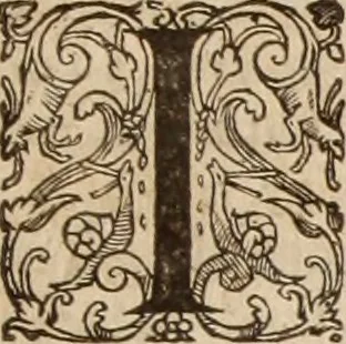 An illustration from Ioannis Cameronis Scoto-Britanni Theologi eximij [Ta sozomena], siue Opera partim ab auctore ipso edita, partim post eius obitum vulgata, partim nusquam hactenus publicata, vel è Gallico idiomate nunc primùm in Latinam linguam translata. In unum collecta, & variis indicibus instructa, 1658, leaf 240