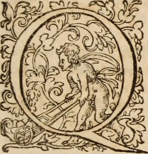 An illustration from Ioannis Cameronis Scoto-Britanni Theologi eximij [Ta sozomena], siue Opera partim ab auctore ipso edita, partim post eius obitum vulgata, partim nusquam hactenus publicata, vel è Gallico idiomate nunc primùm in Latinam linguam translata. In unum collecta, & variis indicibus instructa, 1658, leaf 372