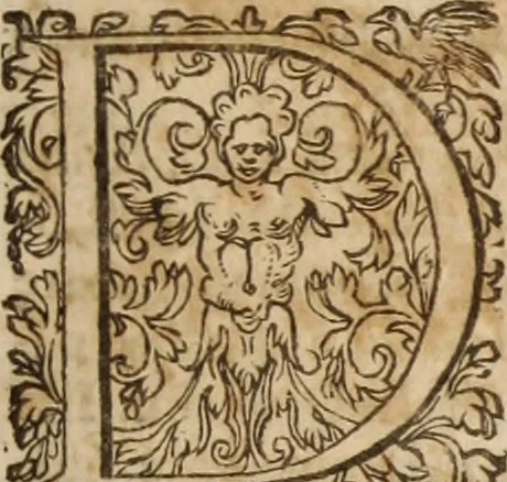 An illustration from Ioannis Cameronis Scoto-Britanni Theologi eximij [Ta sozomena], siue Opera partim ab auctore ipso edita, partim post eius obitum vulgata, partim nusquam hactenus publicata, vel è Gallico idiomate nunc primùm in Latinam linguam translata. In unum collecta, & variis indicibus instructa, 1658, leaf 452
