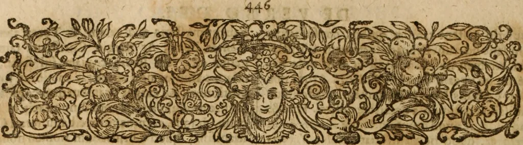 An illustration from Ioannis Cameronis Scoto-Britanni Theologi eximij [Ta sozomena], siue Opera partim ab auctore ipso edita, partim post eius obitum vulgata, partim nusquam hactenus publicata, vel è Gallico idiomate nunc primùm in Latinam linguam translata. In unum collecta, & variis indicibus instructa, 1658, leaf 481