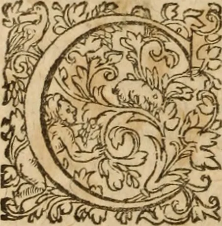 An illustration from Ioannis Cameronis Scoto-Britanni Theologi eximij [Ta sozomena], siue Opera partim ab auctore ipso edita, partim post eius obitum vulgata, partim nusquam hactenus publicata, vel è Gallico idiomate nunc primùm in Latinam linguam translata. In unum collecta, & variis indicibus instructa, 1658, leaf 481