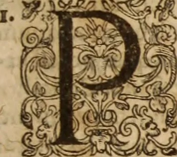 An illustration from Ioannis Cameronis Scoto-Britanni Theologi eximij [Ta sozomena], siue Opera partim ab auctore ipso edita, partim post eius obitum vulgata, partim nusquam hactenus publicata, vel è Gallico idiomate nunc primùm in Latinam linguam translata. In unum collecta, & variis indicibus instructa, 1658, leaf 532