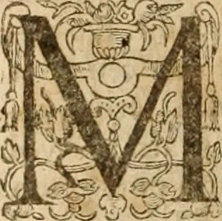 An illustration from Ioannis Cameronis Scoto-Britanni Theologi eximij [Ta sozomena], siue Opera partim ab auctore ipso edita, partim post eius obitum vulgata, partim nusquam hactenus publicata, vel è Gallico idiomate nunc primùm in Latinam linguam translata. In unum collecta, & variis indicibus instructa, 1658, leaf 535