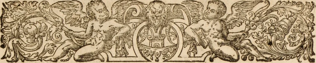 An illustration from Ioannis Cameronis Scoto-Britanni Theologi eximij [Ta sozomena], siue Opera partim ab auctore ipso edita, partim post eius obitum vulgata, partim nusquam hactenus publicata, vel è Gallico idiomate nunc primùm in Latinam linguam translata. In unum collecta, & variis indicibus instructa, 1658, leaf 6