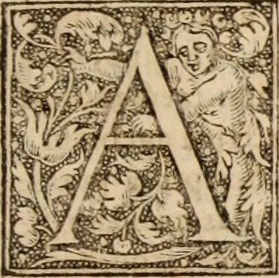 An illustration from Ioannis Cameronis Scoto-Britanni Theologi eximij [Ta sozomena], siue Opera partim ab auctore ipso edita, partim post eius obitum vulgata, partim nusquam hactenus publicata, vel è Gallico idiomate nunc primùm in Latinam linguam translata. In unum collecta, & variis indicibus instructa, 1658, leaf 626