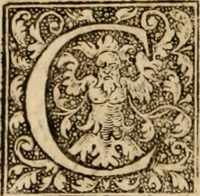An illustration from Ioannis Cameronis Scoto-Britanni Theologi eximij [Ta sozomena], siue Opera partim ab auctore ipso edita, partim post eius obitum vulgata, partim nusquam hactenus publicata, vel è Gallico idiomate nunc primùm in Latinam linguam translata. In unum collecta, & variis indicibus instructa, 1658, leaf 643