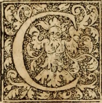 An illustration from Ioannis Cameronis Scoto-Britanni Theologi eximij [Ta sozomena], siue Opera partim ab auctore ipso edita, partim post eius obitum vulgata, partim nusquam hactenus publicata, vel è Gallico idiomate nunc primùm in Latinam linguam translata. In unum collecta, & variis indicibus instructa, 1658, leaf 711