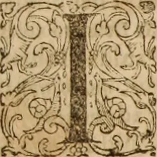 An illustration from Ioannis Cameronis Scoto-Britanni Theologi eximij [Ta sozomena], siue Opera partim ab auctore ipso edita, partim post eius obitum vulgata, partim nusquam hactenus publicata, vel è Gallico idiomate nunc primùm in Latinam linguam translata. In unum collecta, & variis indicibus instructa, 1658, leaf 874