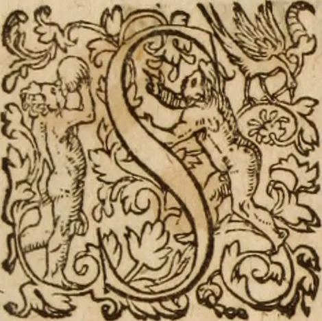 An illustration from Ioannis Cameronis Scoto-Britanni Theologi eximij [Ta sozomena], siue Opera partim ab auctore ipso edita, partim post eius obitum vulgata, partim nusquam hactenus publicata, vel è Gallico idiomate nunc primùm in Latinam linguam translata. In unum collecta, & variis indicibus instructa, 1658, leaf 884