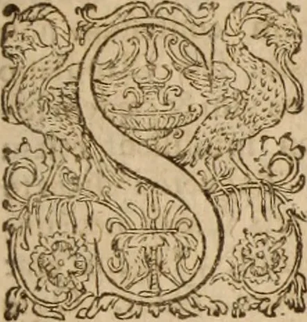 An illustration from Ioannis Cameronis Scoto-Britanni Theologi eximij [Ta sozomena], siue Opera partim ab auctore ipso edita, partim post eius obitum vulgata, partim nusquam hactenus publicata, vel è Gallico idiomate nunc primùm in Latinam linguam translata. In unum collecta, & variis indicibus instructa, 1658, leaf 888