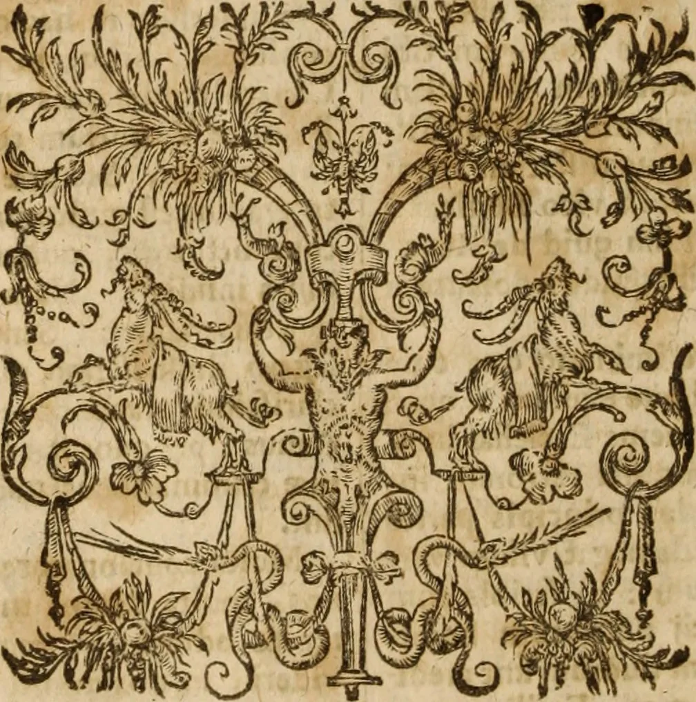 An illustration from Ioannis Cameronis Scoto-Britanni Theologi eximij [Ta sozomena], siue Opera partim ab auctore ipso edita, partim post eius obitum vulgata, partim nusquam hactenus publicata, vel è Gallico idiomate nunc primùm in Latinam linguam translata. In unum collecta, & variis indicibus instructa, 1658, leaf 897
