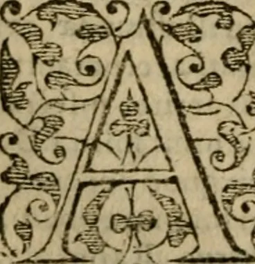An illustration from Ioannis Calvini commentarii integri in Acta apostolorum, 1564, leaf 197