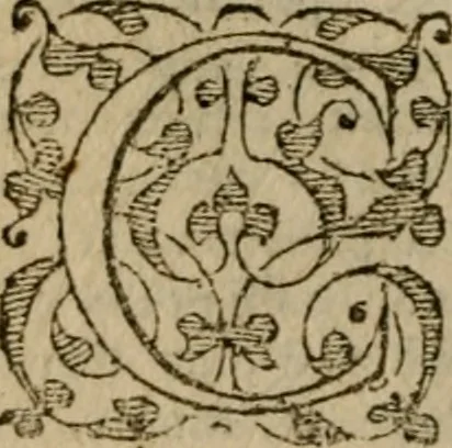 An illustration from Ioannis Calvini commentarii integri in Acta apostolorum, 1564, leaf 211