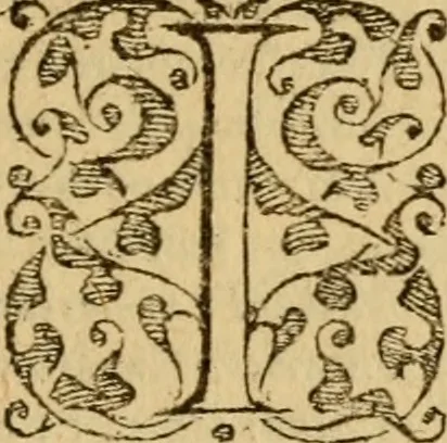 An illustration from Ioannis Calvini commentarii integri in Acta apostolorum, 1564, leaf 98