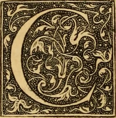 An illustration from Ioannis Calvini Opuscula omnia in unum volumen collecta : Quibus accessit libellus nuc primùm editus, De aeterna Dei praedestinatione, adversus Albertù Pighium Campensem, & Georgium Siculum. Locorum sacrae Scripturae in his opusculis obiter interpretatoru index, 1552, leaf 111