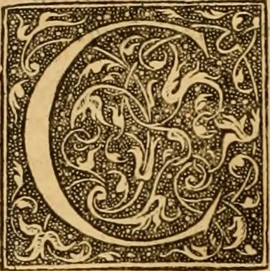 An illustration from Ioannis Calvini Opuscula omnia in unum volumen collecta : Quibus accessit libellus nuc primùm editus, De aeterna Dei praedestinatione, adversus Albertù Pighium Campensem, & Georgium Siculum. Locorum sacrae Scripturae in his opusculis obiter interpretatoru index, 1552, leaf 147