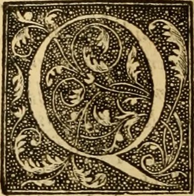 An illustration from Ioannis Calvini Opuscula omnia in unum volumen collecta : Quibus accessit libellus nuc primùm editus, De aeterna Dei praedestinatione, adversus Albertù Pighium Campensem, & Georgium Siculum. Locorum sacrae Scripturae in his opusculis obiter interpretatoru index, 1552, leaf 171