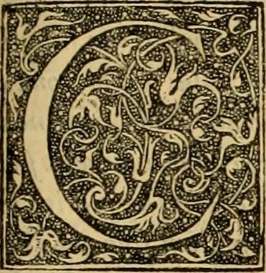 An illustration from Ioannis Calvini Opuscula omnia in unum volumen collecta : Quibus accessit libellus nuc primùm editus, De aeterna Dei praedestinatione, adversus Albertù Pighium Campensem, & Georgium Siculum. Locorum sacrae Scripturae in his opusculis obiter interpretatoru index, 1552, leaf 236
