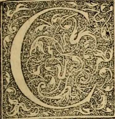 An illustration from Ioannis Calvini Opuscula omnia in unum volumen collecta : Quibus accessit libellus nuc primùm editus, De aeterna Dei praedestinatione, adversus Albertù Pighium Campensem, & Georgium Siculum. Locorum sacrae Scripturae in his opusculis obiter interpretatoru index, 1552, leaf 388