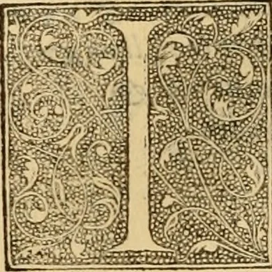 An illustration from Ioannis Calvini Opuscula omnia in unum volumen collecta : Quibus accessit libellus nuc primùm editus, De aeterna Dei praedestinatione, adversus Albertù Pighium Campensem, & Georgium Siculum. Locorum sacrae Scripturae in his opusculis obiter interpretatoru index, 1552, leaf 417
