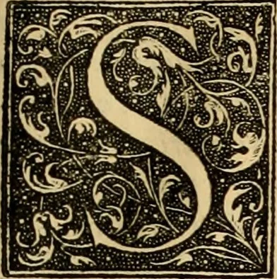 An illustration from Ioannis Calvini Opuscula omnia in unum volumen collecta : Quibus accessit libellus nuc primùm editus, De aeterna Dei praedestinatione, adversus Albertù Pighium Campensem, & Georgium Siculum. Locorum sacrae Scripturae in his opusculis obiter interpretatoru index, 1552, leaf 476