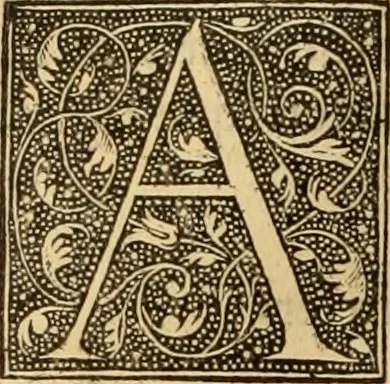 An illustration from Ioannis Calvini Opuscula omnia in unum volumen collecta : Quibus accessit libellus nuc primùm editus, De aeterna Dei praedestinatione, adversus Albertù Pighium Campensem, & Georgium Siculum. Locorum sacrae Scripturae in his opusculis obiter interpretatoru index, 1552, leaf 585