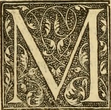 An illustration from Ioannis Calvini Opuscula omnia in unum volumen collecta : Quibus accessit libellus nuc primùm editus, De aeterna Dei praedestinatione, adversus Albertù Pighium Campensem, & Georgium Siculum. Locorum sacrae Scripturae in his opusculis obiter interpretatoru index, 1552, leaf 611