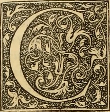 An illustration from Ioannis Calvini Opuscula omnia in unum volumen collecta : Quibus accessit libellus nuc primùm editus, De aeterna Dei praedestinatione, adversus Albertù Pighium Campensem, & Georgium Siculum. Locorum sacrae Scripturae in his opusculis obiter interpretatoru index, 1552, leaf 631