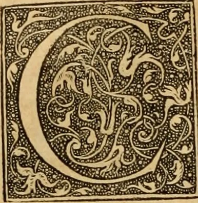 An illustration from Ioannis Calvini Opuscula omnia in unum volumen collecta : Quibus accessit libellus nuc primùm editus, De aeterna Dei praedestinatione, adversus Albertù Pighium Campensem, & Georgium Siculum. Locorum sacrae Scripturae in his opusculis obiter interpretatoru index, 1552, leaf 87