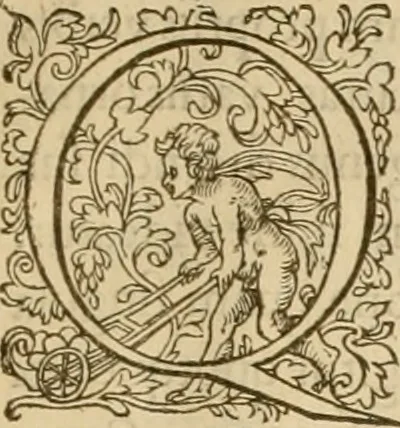An illustration from Ioannis Calvini praelectiones in duodecim prophetas (quos vocant) minores .., 1559, leaf 14