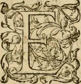 An illustration from Ioannis Calvini praelectiones in duodecim prophetas (quos vocant) minores .., 1559, leaf 16