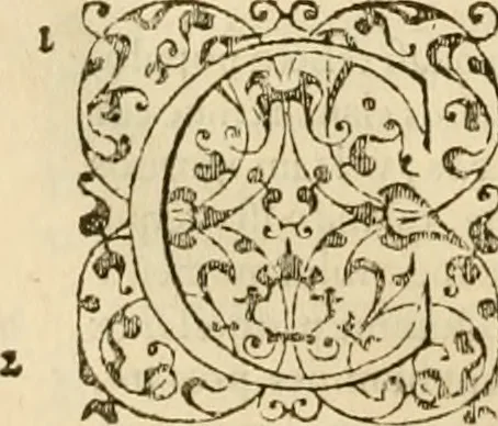 An illustration from Ioannis Calvini praelectiones in duodecim prophetas (quos vocant) minores .., 1559, leaf 201