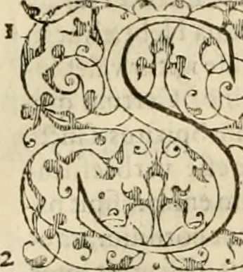 An illustration from Ioannis Calvini praelectiones in duodecim prophetas (quos vocant) minores .., 1559, leaf 299