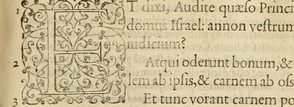 An illustration from Ioannis Calvini praelectiones in duodecim prophetas (quos vocant) minores .., 1559, leaf 404