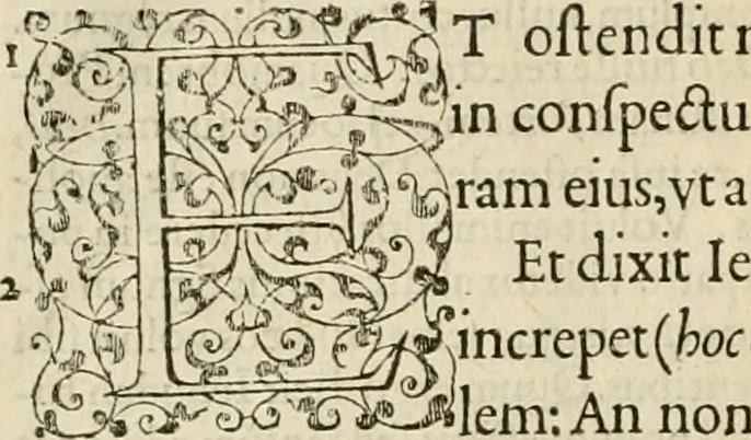 An illustration from Ioannis Calvini praelectiones in duodecim prophetas (quos vocant) minores .., 1559, leaf 633