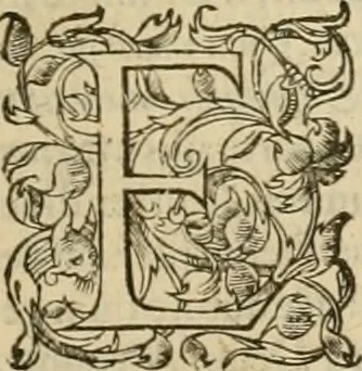 An illustration from Ioannis Calvini praelectiones in duodecim prophetas (quos vocant) minores .., 1559, leaf 648