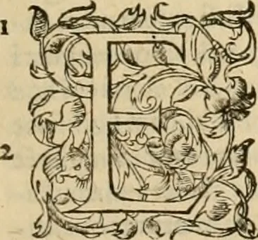 An illustration from Ioannis Calvini praelectiones in duodecim prophetas (quos vocant) minores .., 1559, leaf 652