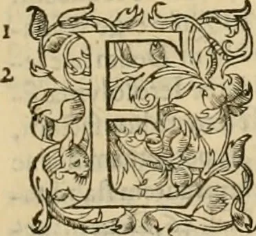 An illustration from Ioannis Calvini praelectiones in duodecim prophetas (quos vocant) minores .., 1559, leaf 668