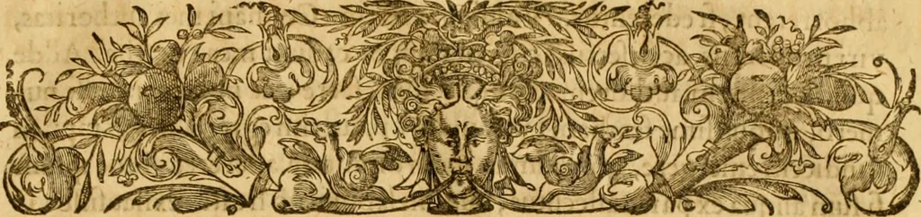 An illustration from Ioannis Calvini Tractatus theologici omnes : in unum volumen certis classibus congesti : quorum aliqui nec latine nec gallicè prius editi fuerunt, 1597, leaf 1020