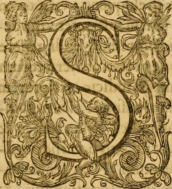 An illustration from Ioannis Calvini Tractatus theologici omnes : in unum volumen certis classibus congesti : quorum aliqui nec latine nec gallicè prius editi fuerunt, 1597, leaf 1020