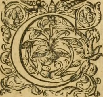 An illustration from Ioannis Calvini Tractatus theologici omnes : in unum volumen certis classibus congesti : quorum aliqui nec latine nec gallicè prius editi fuerunt, 1597, leaf 14