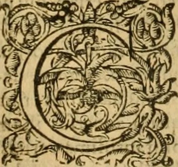 An illustration from Ioannis Calvini Tractatus theologici omnes : in unum volumen certis classibus congesti : quorum aliqui nec latine nec gallicè prius editi fuerunt, 1597, leaf 145