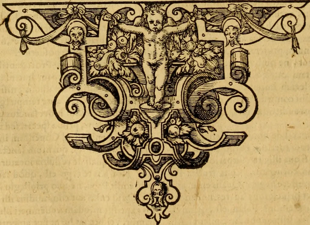 An illustration from Ioannis Calvini Tractatus theologici omnes : in unum volumen certis classibus congesti : quorum aliqui nec latine nec gallicè prius editi fuerunt, 1597, leaf 267